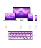 Clavier mécanique gaming OEM Ray68 HE Cherry, disposition 65%, rétroéclairage RGB, boîtier lumineux, DIY amusant, RT 0.01mm, effet Hall TMR, USB-C pour