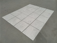 Centurymosaic Factory, vente en gros de carreaux de marbre blanc de Carrare, Italie, pierre naturelle, carreaux de marbre de 24x24 pouces pour les projets de villas et d'hôtels