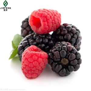 Giá tốt nhất iqf đông lạnh <span class=keywords><strong>Raspberry</strong></span> trái cây Trung Quốc Chất lượng xuất khẩu với hương vị ngọt ngào toàn bộ mô hình bảo quản Syrup bao bì số lượng lớn - Product Image 3