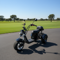 Triciclo Eléctrico de Tres Ruedas, Scooter Eléctrico de Tres Ruedas con Golf 4000W para Adultos