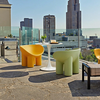 Chaise de jambe d'éléphant de conception nordique pour la maison et les événements Meubles en plastique durables pour des hôtels, des parcs et des chambres à coucher