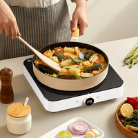 Cuisinière à induction pour appareil ménager Table de cuisson écologique Cuisinière à induction en céramique à brûleur unique avec marmite à soupe