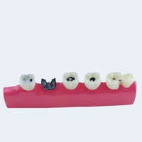 Modèle d'enseignement manuel des soins bucco-dentaires FUREIN SMILE YK-01 Classe I - Accessoire de soins dentaires certifié CE, garantie 1 an pour usage commercial