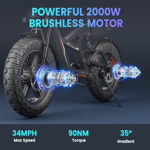 WO18 전기 자전거 2000W 듀얼 모터 25AH 배터리 20 ''뚱뚱한 타이어 & 성인을위한 음악 플레이어 전자 자전거 내장 - Product Image 2