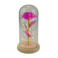 Personnalisez les cadeaux de la Saint-Valentin pour les mères et les petites amies avec des lumières florales LED uniques pour la décoration et les cadeaux de mariage