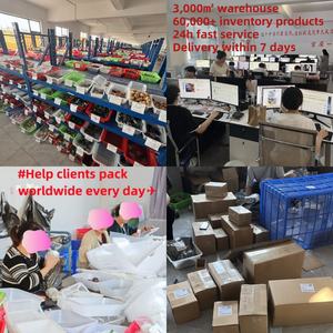 Crânes de Pyrite Sculptés en Cristal pour la Guérison, Décoration Écologique pour la Maison, Vente en Gros - Product Image 6