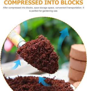 Discos de turba, pellets de coco, pastillas de inicio de semillas, bloques de suelo para plántulas en paletas - Product Image 3