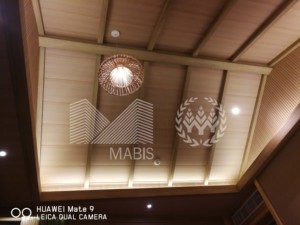 Maisons préfabriquées modulaires écologiques à deux chambres, bungalow, <span class=keywords><strong>maison</strong></span> dans les arbres de luxe - Product Image 4