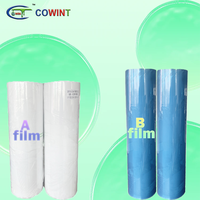 Cowint vente chaude conception personnalisée coque de téléphone Uv dtf AB film d'imprimante a et b papier autocollant transfert à froid direct feuilles a3