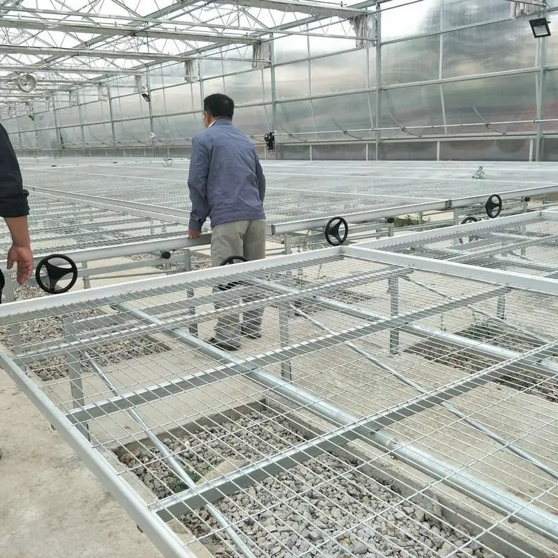 fast delivery movable rolling bench table seedbed for sale