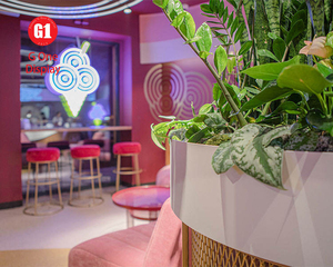 Mobiliario Personalizado de Alta Gama para Tiendas de Postres |   Muebles para Exhibición de Chocolate y Decoración Interior para Heladerías - Product Image 5