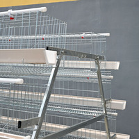 Cages à batterie de type A pour poules pondeuses, pour l'élevage avicole en ferme, avec galvanisation à chaud
