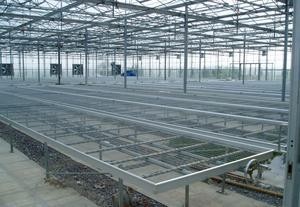 Agriculture Fixed <strong>Benches</strong> for Nursery for <strong>Greenhouse</strong> - Product Image 3