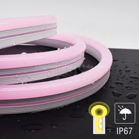 Bande lumineuse LED RGB intelligente pour Noël, néon de plafond découpable USB WS2811 PVC, étanche IP67 pour l'éclairage paysager domestique