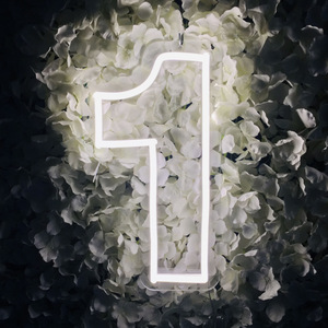 Dropshipping giapponese piccoli segni di vetro messicano lettere acriliche numero personalizzato <span class=keywords><strong>Led</strong></span> segno al Neon Drop Shipping per la festa - Product Image 5