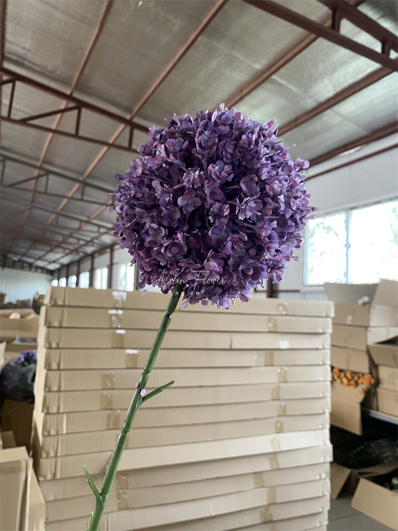 #8 purple