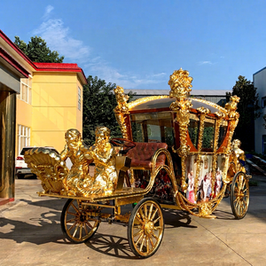 Offre Spéciale Annuelle : Chariot Royal Électrique de Haute Qualité pour Visites Touristiques – Élégance et Confort Garantis - Product Image 1