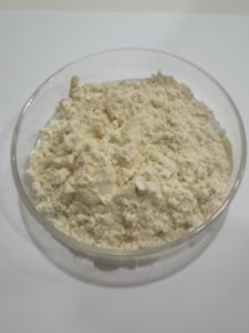 אבקה פרוביוטית מיובשת בהקפאה של Bacillus <span class=keywords><strong>Subtilis</strong></span> בדרגת הזנה, 20-500 מיליארד CFU/גרם Bacillus <span class=keywords><strong>Subtilis</strong></span> - Product Image 1