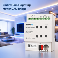 Passerelle Pro Fiable Matter Tuya Zigbee Thread Filaire DALI pour la Domotique – Pont Intelligent Matter Thread pour l'Automatisation de l'Éclairage Hôtelier