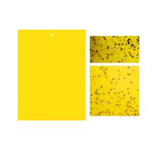 Piège collant double face en plastique jaune et bleu pour thrips et petites mouches – Planche anti-insectes écologique pour le contrôle des ravageurs - Product Image 1