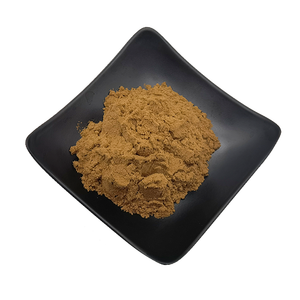 Küresel satış saf Usnea özü liken özü tozu - Product Image 1