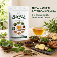 Thé Détox Minceur 14 Jours 3g x 14 Sachets – Brûleur de Graisse, Ventre Plat, Minceur, Régime Kéto, Boost Métabolisme