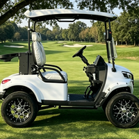Voitures de golf de bonne qualité, deux places, 48 volts, électriques au lithium, avec pare-brise pliable et porte-sac pour le terrain de golf