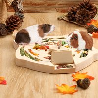 Jouet de recherche de nourriture interactif en bois pour hamsters cochons d'inde lapins rats-collations cachées jeu de puzzle bols divers nourriture riche en nourriture
