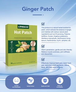 Parche Herbal de Jengibre Personalizado para Dolores Crónicos y Comodidad en Climas Fríos - Product Image 6