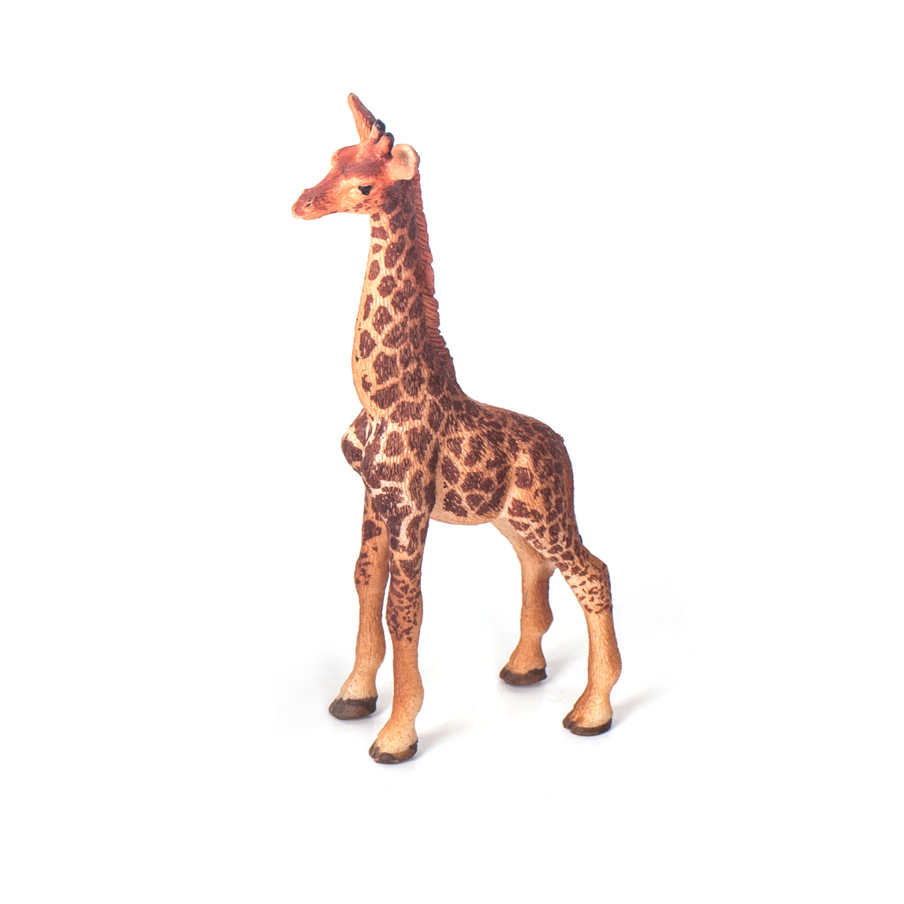 Girafe