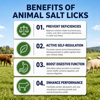 Bloc de sel minéral pour bétail, sel de roche naturel pour l'alimentation des animaux de ferme en pâturage, supplément de sodium pour le bétail