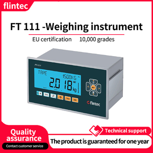 FLINTEC FT 111 Instrumento de Pesaje Multifuncional de Alta Precisión con Componentes de Plástico, Certificado por la UE - Product Image 2