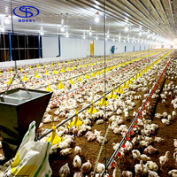Ensemble complet d'équipements d'élevage avicole, conception sur mesure, tailles variées, ventilateur d'alimentation, abreuvoir à tétine, système d'alimentation automatique