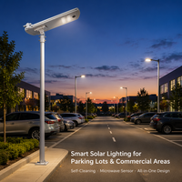 Lampadaires solaires tout-en-un efficaces et durables, éclairage solaire pour les zones urbaines et rurales
