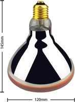 Lampe chauffante rouge ampoules infrarouges PAR38/250 Watts ampoule de lampe en verre pour Service alimentaire, ampoule de couveuse, poussins, animal de compagnie, salle de bain