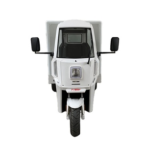 Nuevo Triciclo <span class=keywords><strong>de</strong></span> <span class=keywords><strong>Carga</strong></span> Eléctrico Goody Van <span class=keywords><strong>de</strong></span> 3 Ruedas con Control Manual, 3kw, Batería <span class=keywords><strong>de</strong></span> Plomo-Ácido, Largo Alcance, Motocicleta, Batería <span class=keywords><strong>de</strong></span> Plomo-Ácido/Litio - Product Image 1