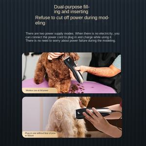 Nouveau rasage professionnel de <span class=keywords><strong>chien</strong></span> de beauté <span class=keywords><strong>pour</strong></span> les produits de toilettage transfrontaliers <span class=keywords><strong>pour</strong></span> animaux de compagnie - Product Image 4