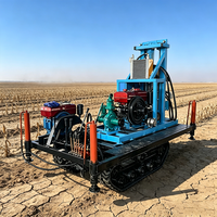 Foreuse à chenilles tout-terrain 200L pour puits d'eau, moteur diesel monocylindre 22 CV