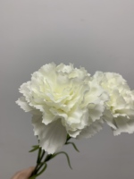 Realistische Nelken mit Einzelstiel Weiße Künstliche Nelken für Heim Hochzeit Tisch Muttertag Blumendekoration