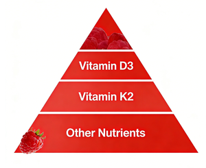 Suplemento <span class=keywords><strong>de</strong></span> Vitamina D3 K2 en Gomitas para Adultos <span class=keywords><strong>y</strong></span> Adolescentes, 5000 UI Diarios, <span class=keywords><strong>Nutrición</strong></span> Dietética, Vitaminas <span class=keywords><strong>y</strong></span> Minerales Naturales Esenciales, Personalizable - Product Image 6