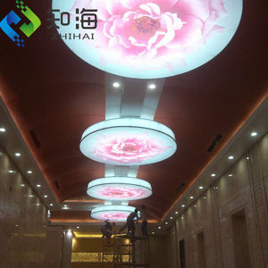 <span class=keywords><strong>Pannelli</strong></span> del <span class=keywords><strong>soffitto</strong></span> sospeso personalizzati con pellicola in Pvc retroilluminato traslucido bianco per la decorazione del <span class=keywords><strong>soffitto</strong></span> - Product Image 1