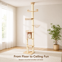 Arbre à chat en bois à 5 niveaux avec capsule spatiale transparente, lit pour chat, griffoir en sisal, arbre à chat vertical haut