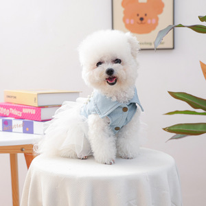 Nueva ropa de otoño/invierno para perros pequeños y cachorros, vestidos de mezclilla cálidos, cómodos y adorables para novias. - Product Image 2
