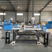 Draagbare Mini Gantry-stijl Goedkope Prijs 4020 4015 Draagbare CNC Plasma 3000W 2000W Snijmachine