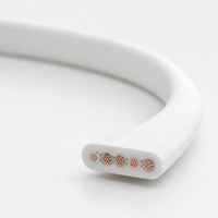 Câble de charge USB-A vers Lightning plat en TPE de 1 m avec motif coquille et anneau orange, cordon de charge rapide pour iPhone