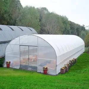 Film Large Greenhouses Hydroponics Growing Agricultural Greenhouses Pimentones Arch Plastic Customize Transparent from CN;JIA