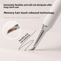 Ensemble de 10 pinceaux magnétiques pour nail art, pinceau à ligne, chrysanthème d'automne, stylo de luminothérapie, ensemble complet, vente en gros