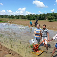 Transplanteur de riz paddy manuel à haute efficacité 2 rangées machine de plantation de riz