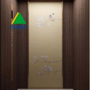 Ascensor de Pasajeros Moderno Hyundai de 1000 kg con Puertas Automáticas, Certificado ISO 9001, Ascensor Residencial - Product Image 2