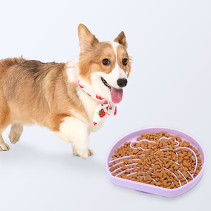 Ciotola per Cani in Silicone Ecologica e Resistente, Base Antiscivolo, Colori Personalizzabili, Arcobaleno - Product Image 3